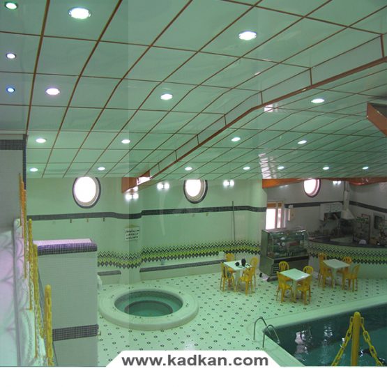 سقف کاذب استخر کارگران