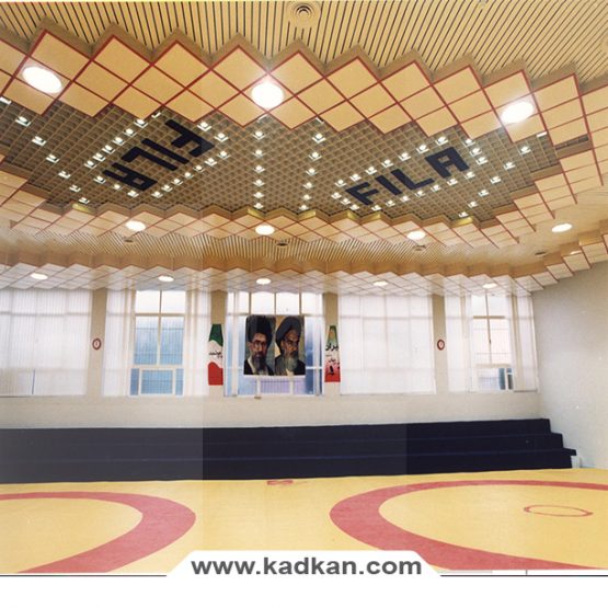 سقف کاذب سالن کشتی