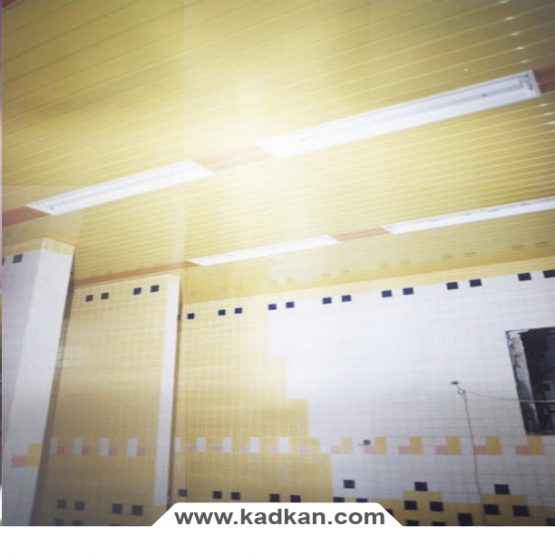 سقف کاذب استخر توانیر