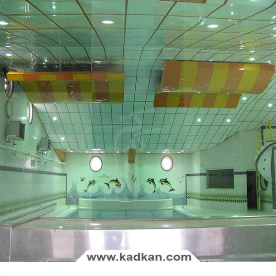 سقف کاذب استخر کارگران