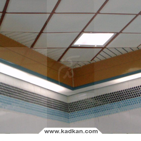 سقف کاذب استخر مجیدیه
