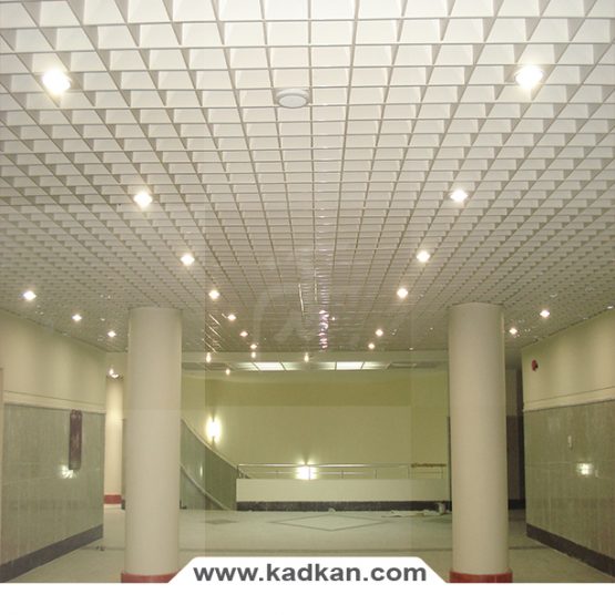 سقف کاذب دانشگاه ماهان