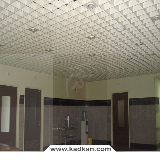 سقف کاذب دانشگاه ماهان