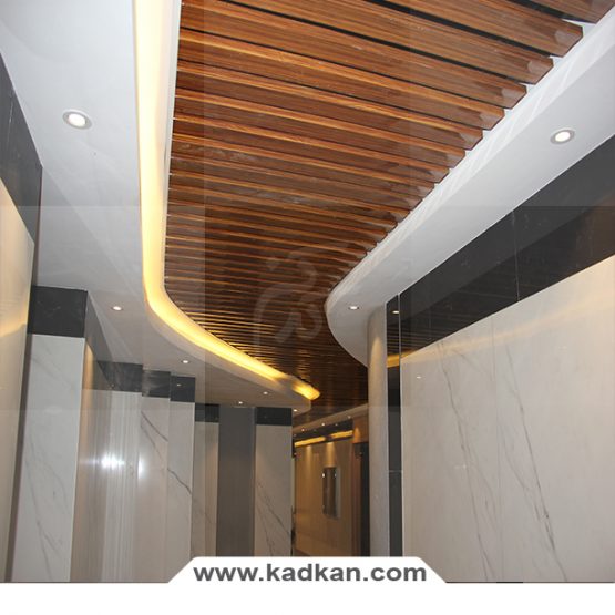 سقف کاذب ساختمان رایان ونک