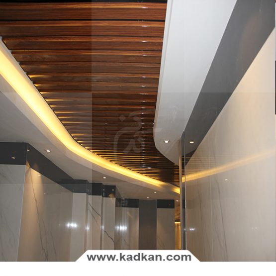 سقف کاذب ساختمان رایان ونک