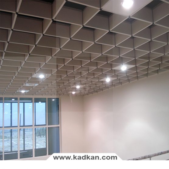 سقف کاذب دانشگاه ماهان